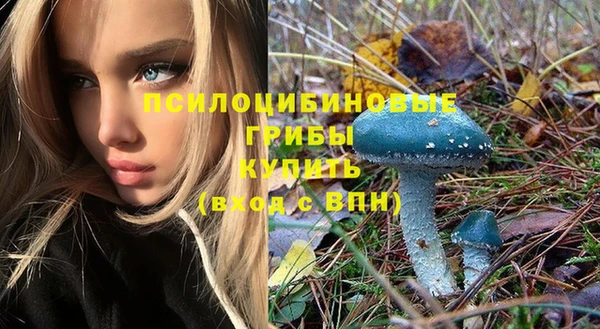 таблы Алексеевка