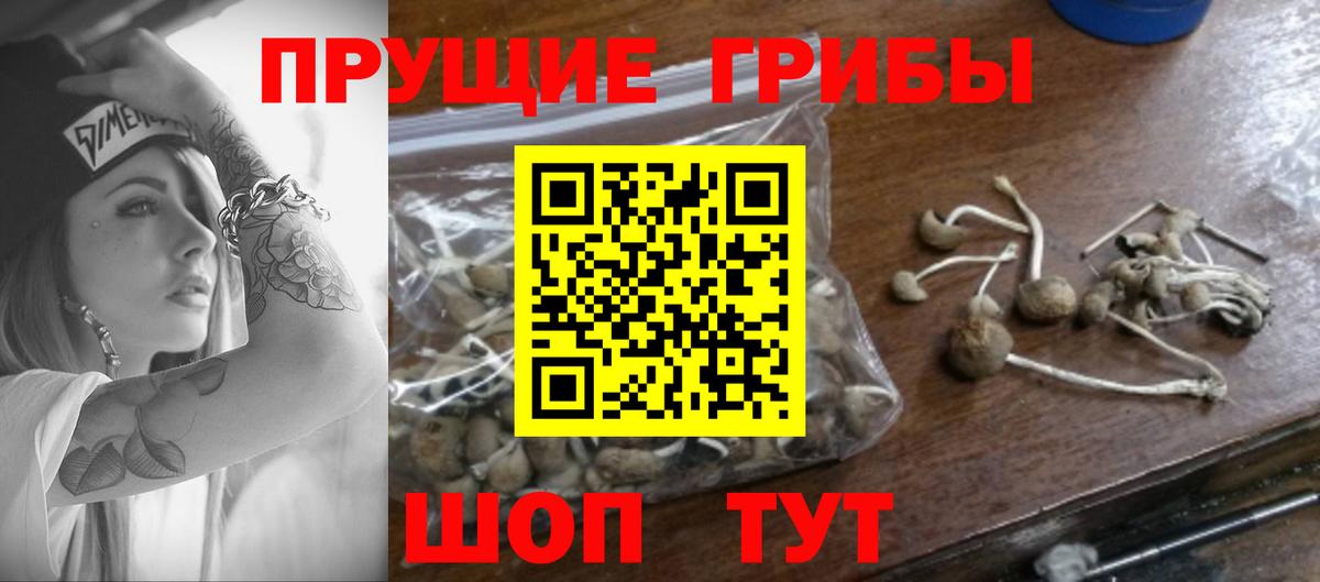 Галлюциногенные грибы Cubensis Чайковский